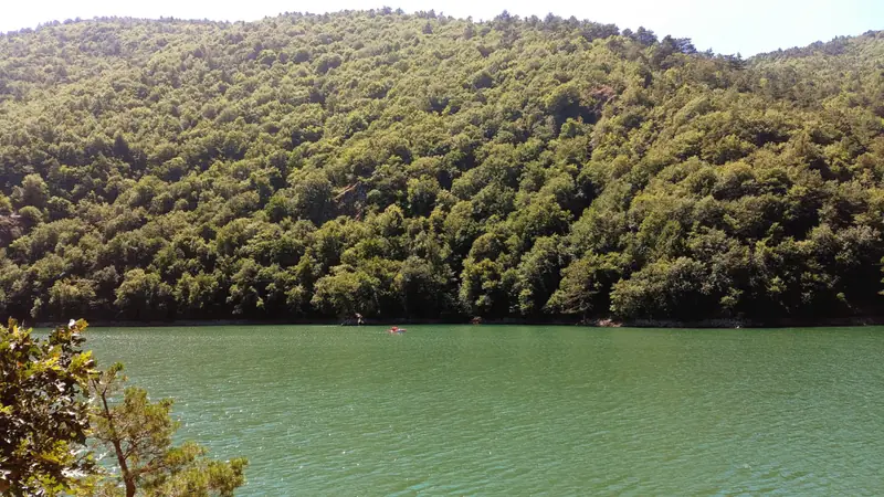 Taşova