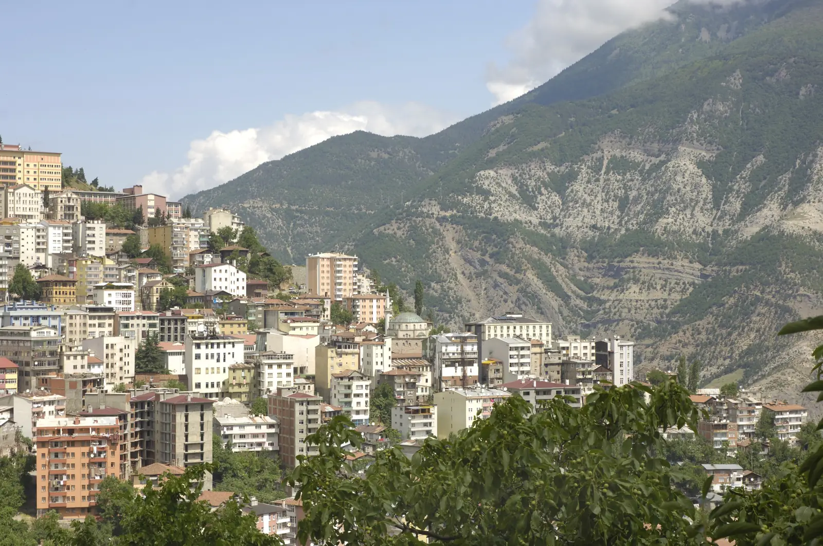 Artvin Gezi Rehberi 2026: Gezilecek Yerler, Havalimanı, Ulaşım ve Yemekler