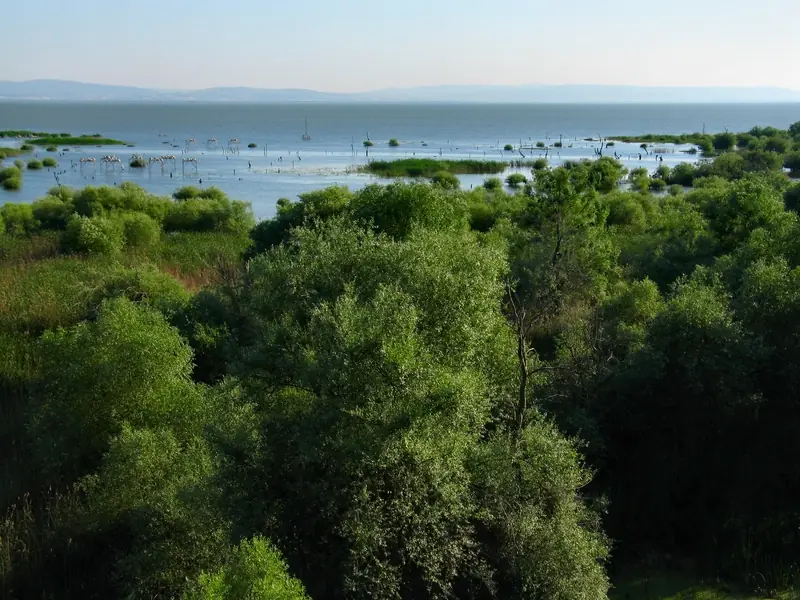 Daskyleion Ören Yeri (Ergili)