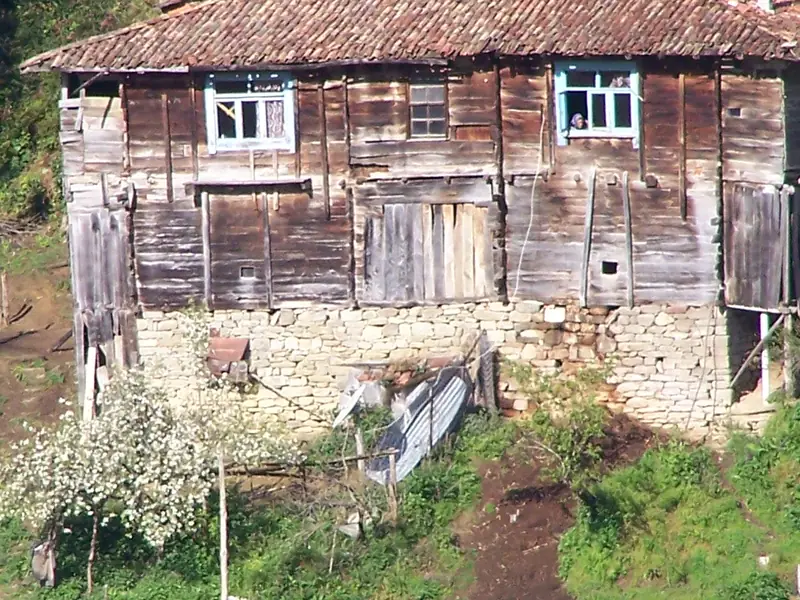 Kurucaşile