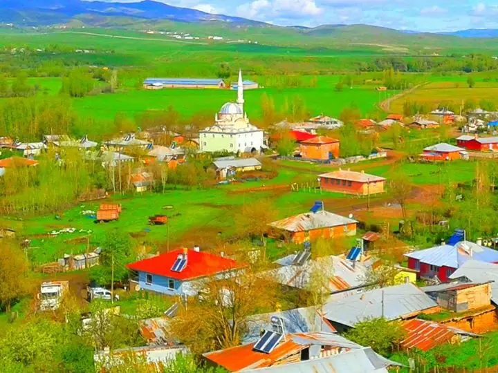 Merkez