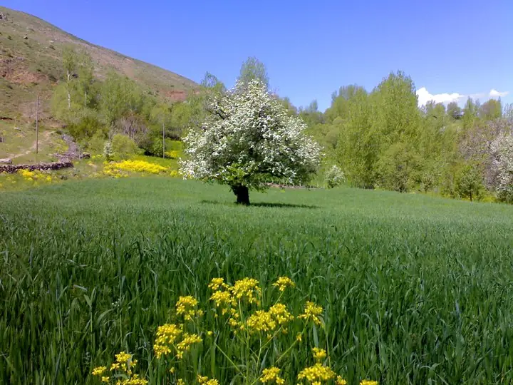 Solhan