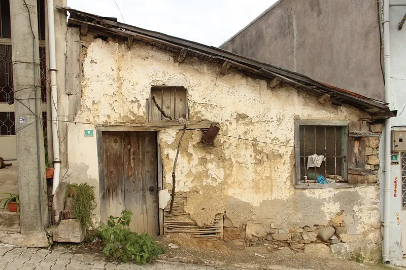 Tirilye (Zeytinbağı)