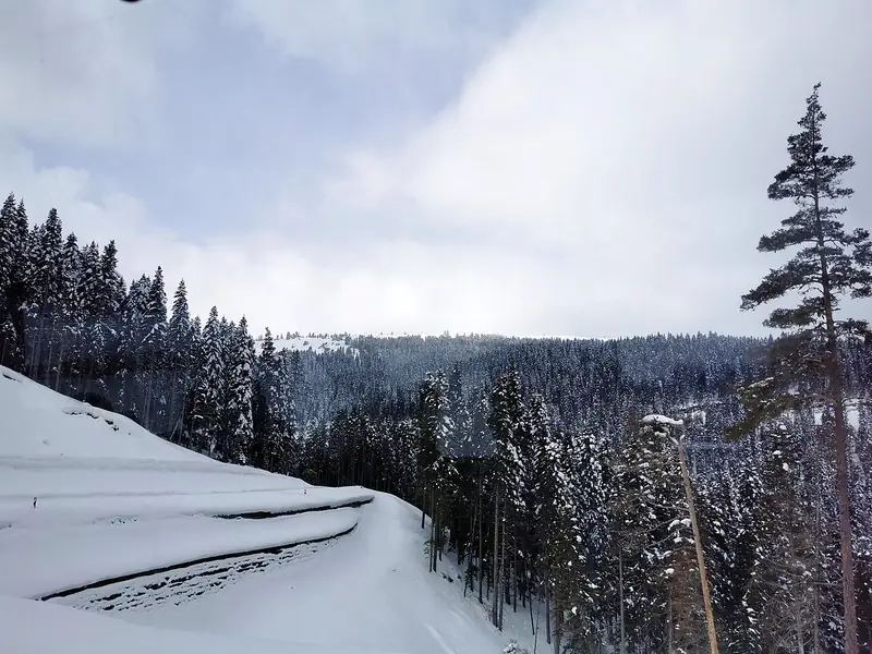 Ilgaz