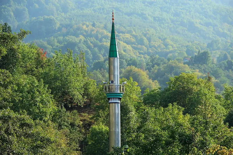 Kaynaşlı