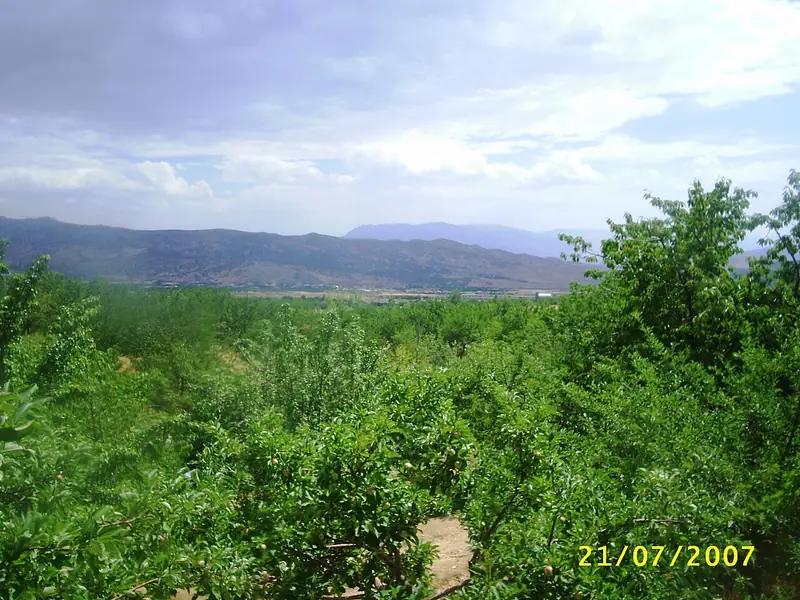 Baskil