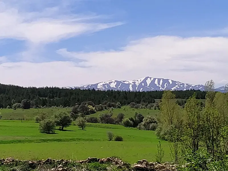 Refahiye