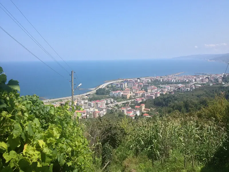 Görele