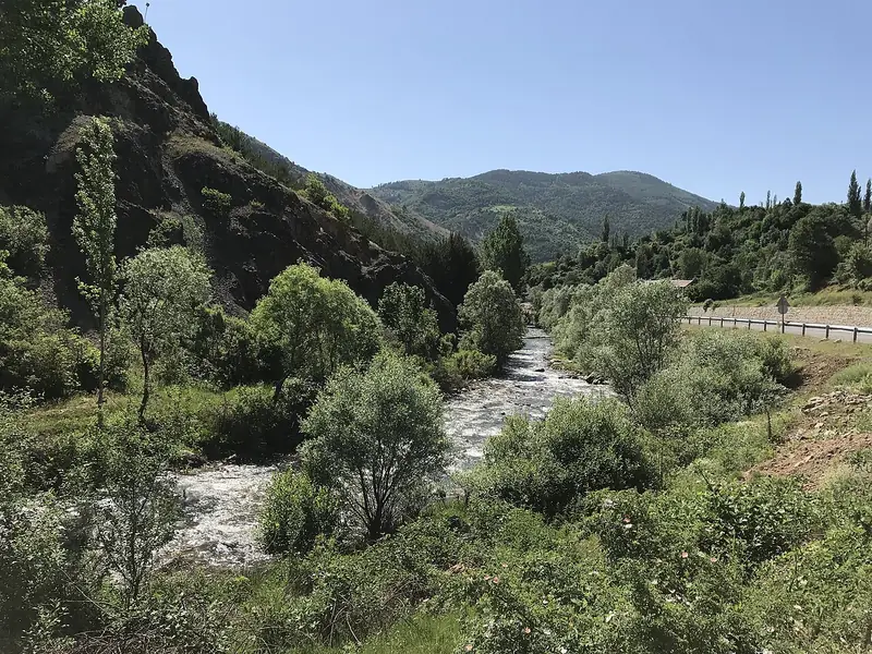Tamzara (Şebinkarahisar)