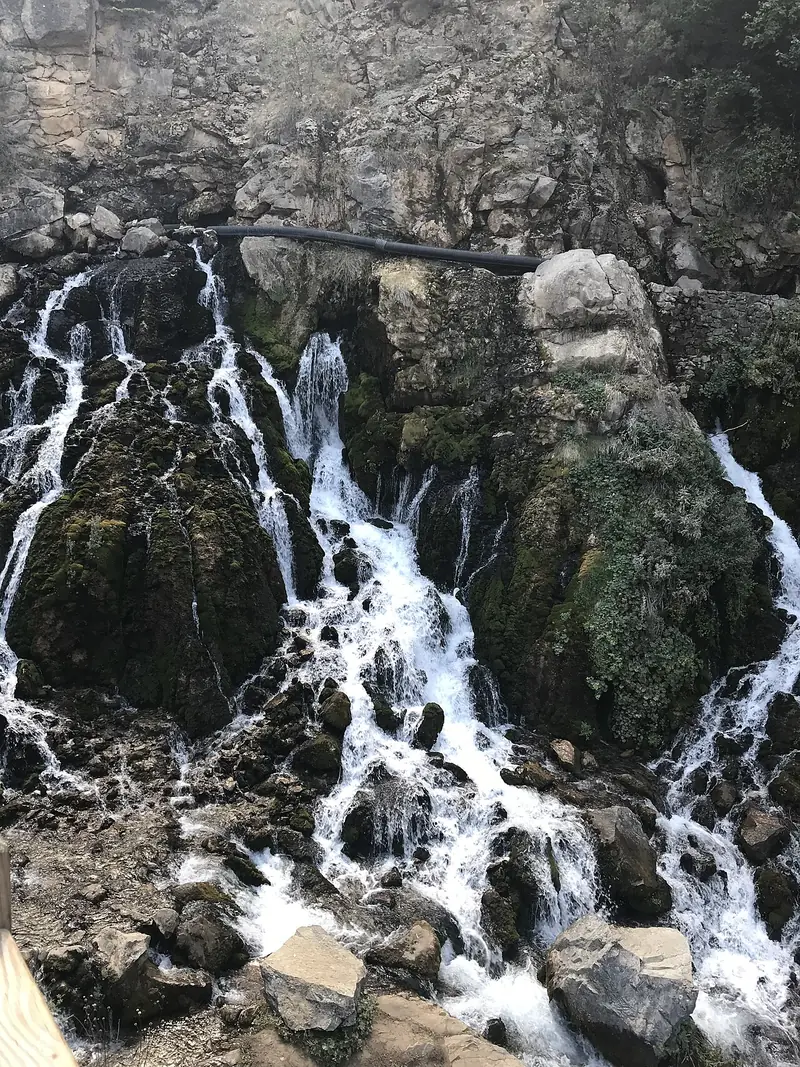 Şiran