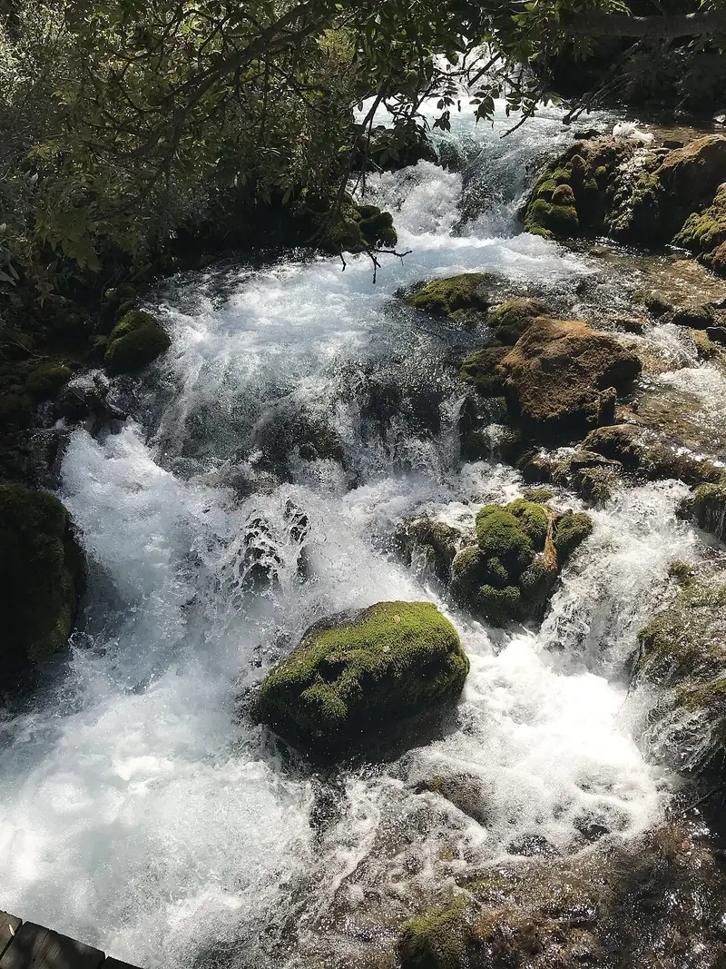 Tomara Şelalesi Tabiat Parkı (Şiran)