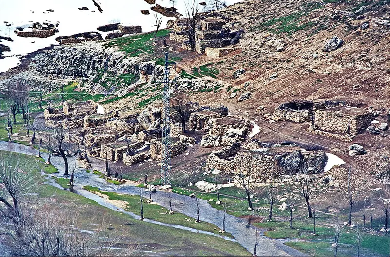 Sarıveliler