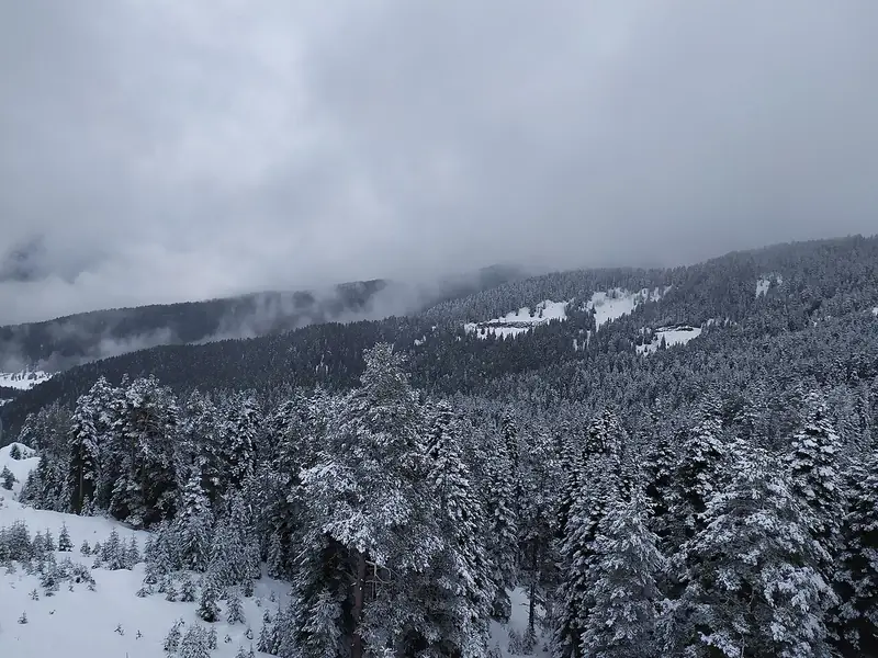 Ilgaz Dağı Milli Parkı ve Kayak Merkezi