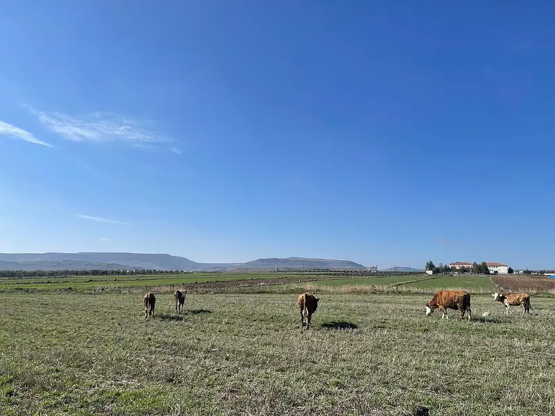 Kurukastel Ören Yeri ve Kilis Ovası