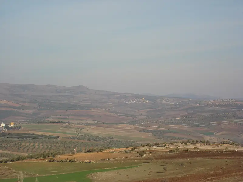 Musabeyli