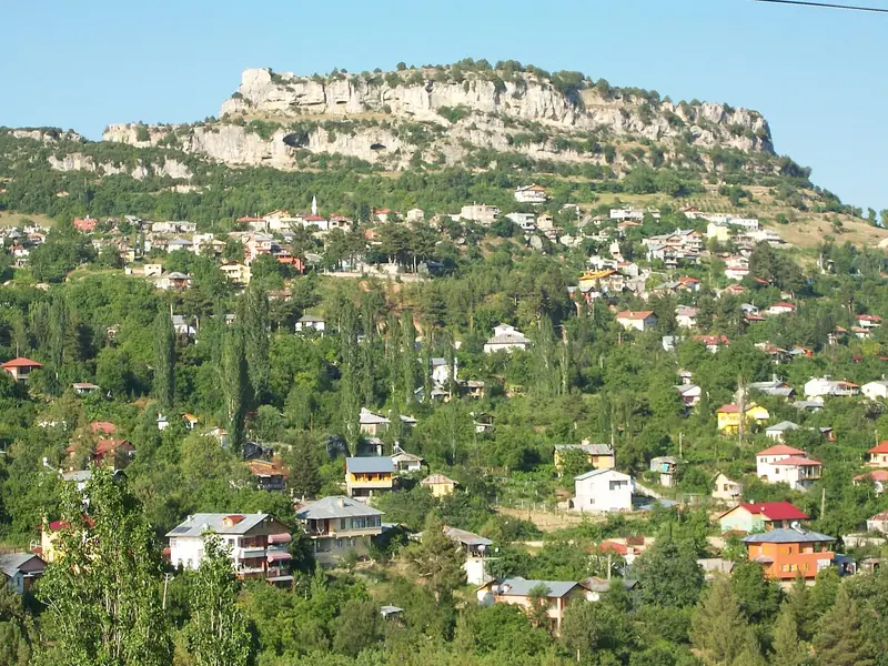 Çamlıyayla