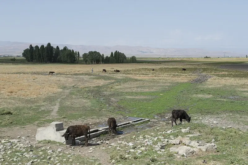 Haçlı (Bulanık) Gölü