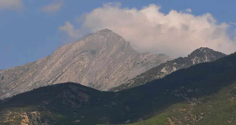 Düziçi