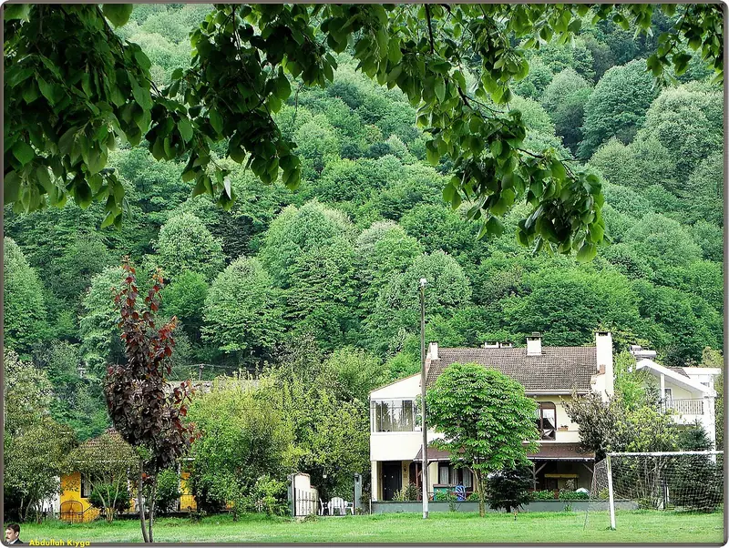 Sapanca