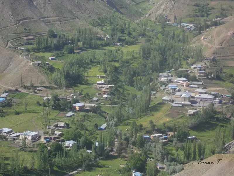Faraşin Yaylası (Beytüşşebap)