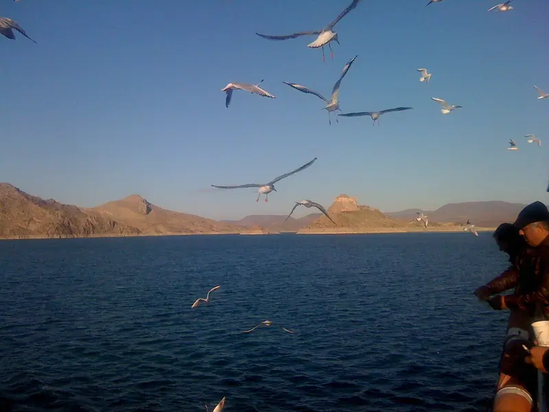 Pertek–Elazığ Feribotu ve Keban Baraj Gölü