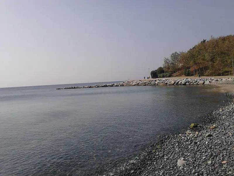 Merkez