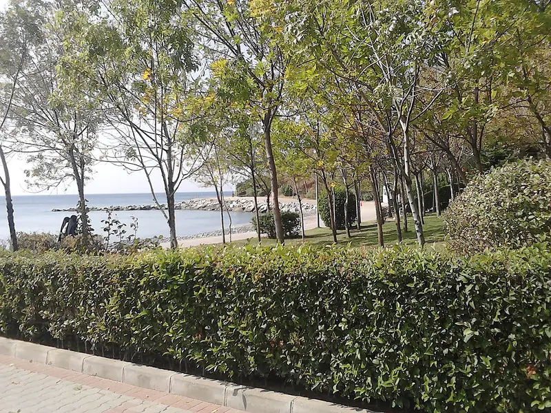 Yalova Kent Müzesi